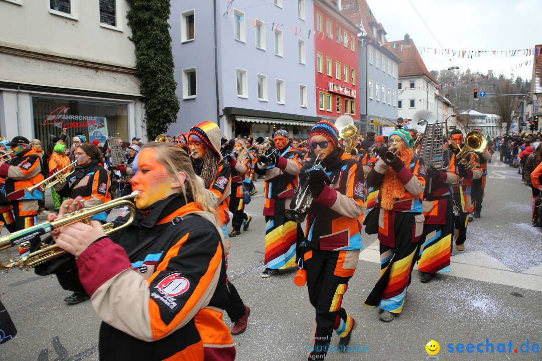 Tuttlinger Fasnetumzug: Tuttlingen am Bodensee, 10.02.2018