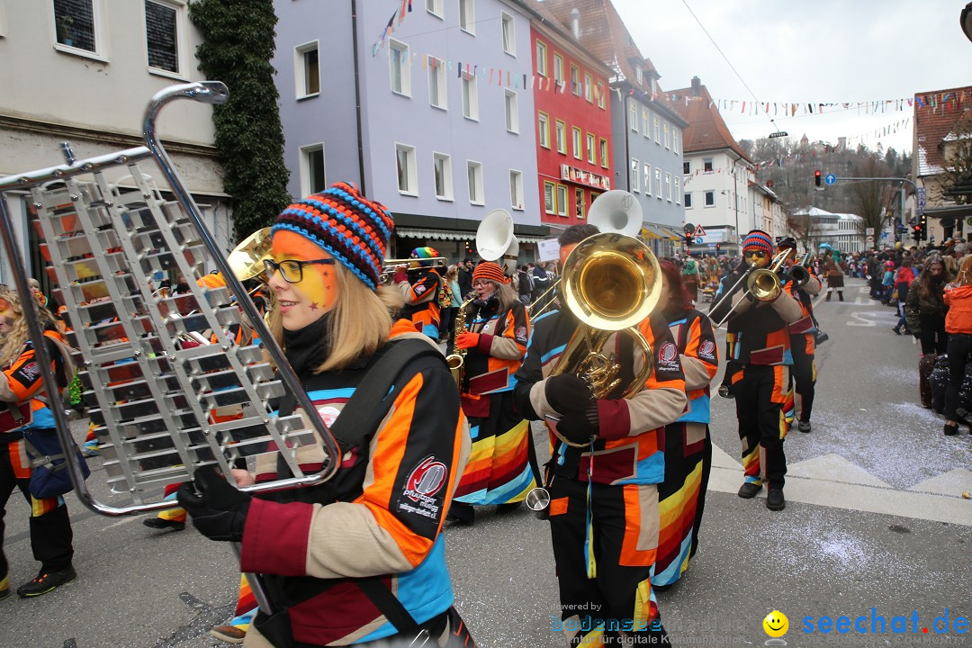 Tuttlinger Fasnetumzug: Tuttlingen am Bodensee, 10.02.2018