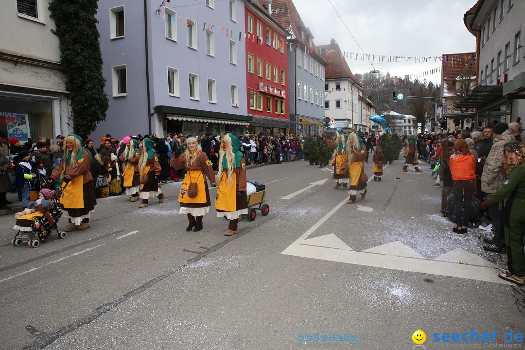 Tuttlinger Fasnetumzug: Tuttlingen am Bodensee, 10.02.2018