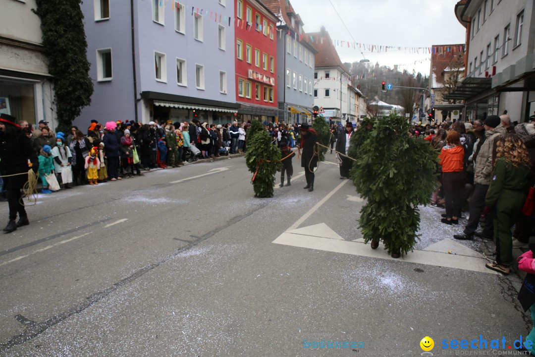 Tuttlinger Fasnetumzug: Tuttlingen am Bodensee, 10.02.2018