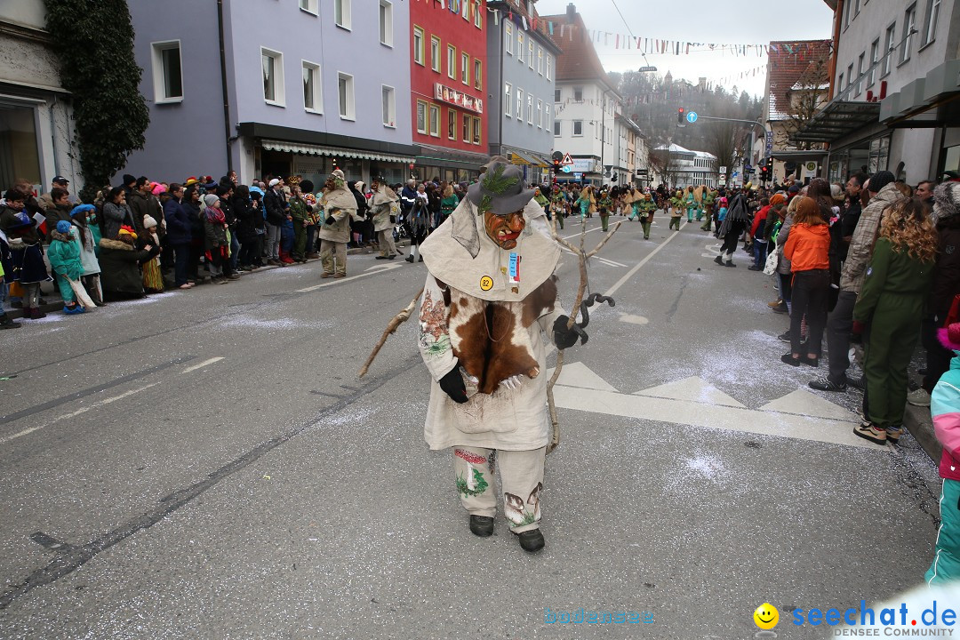 Tuttlinger Fasnetumzug: Tuttlingen am Bodensee, 10.02.2018