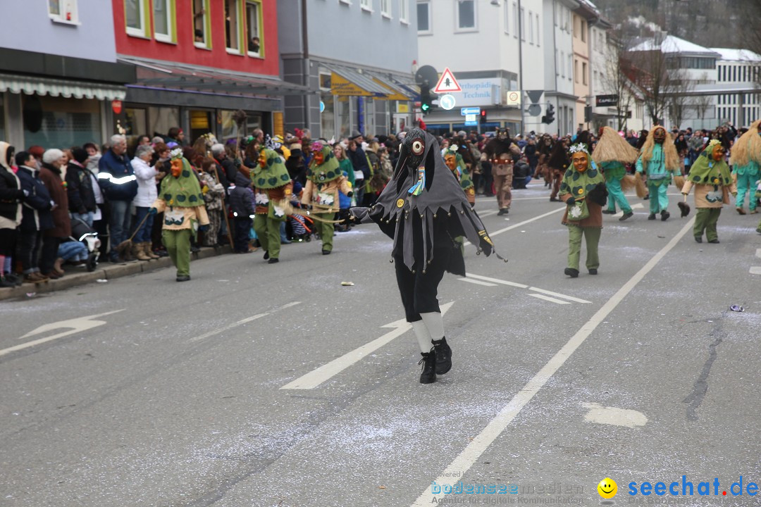 Tuttlinger Fasnetumzug: Tuttlingen am Bodensee, 10.02.2018