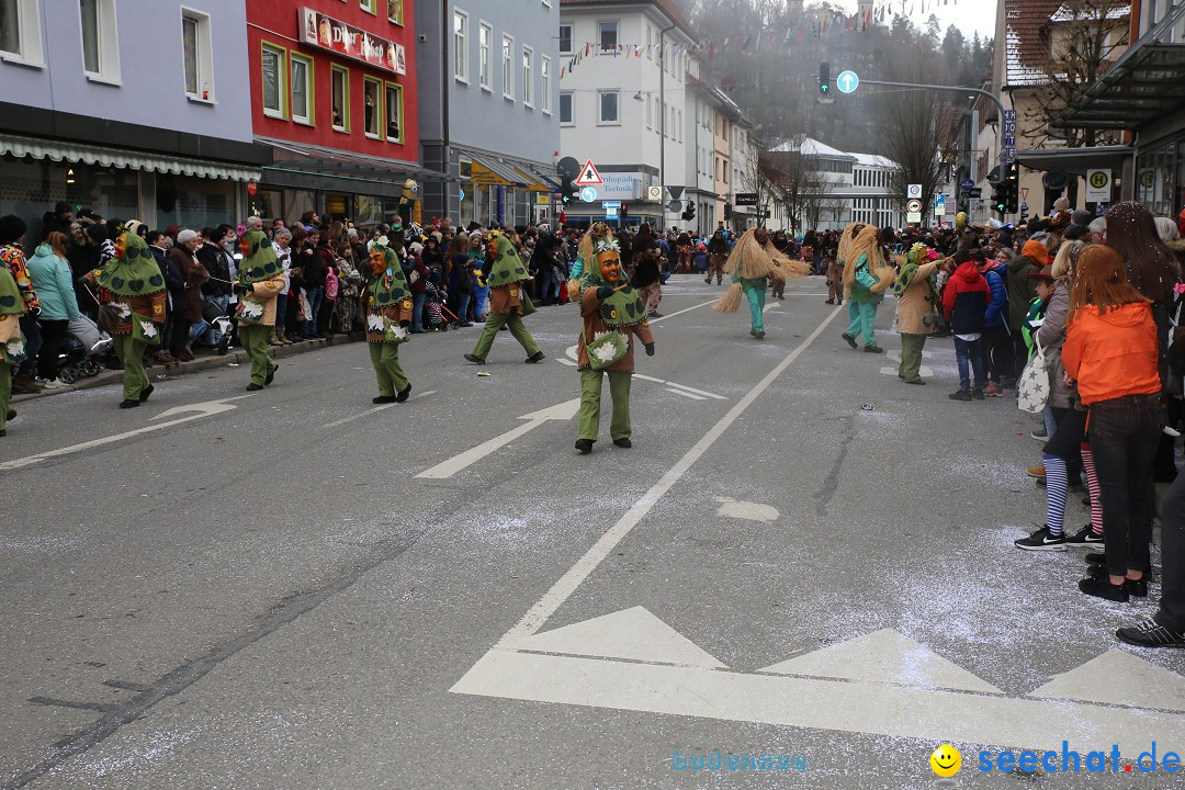 Tuttlinger Fasnetumzug: Tuttlingen am Bodensee, 10.02.2018