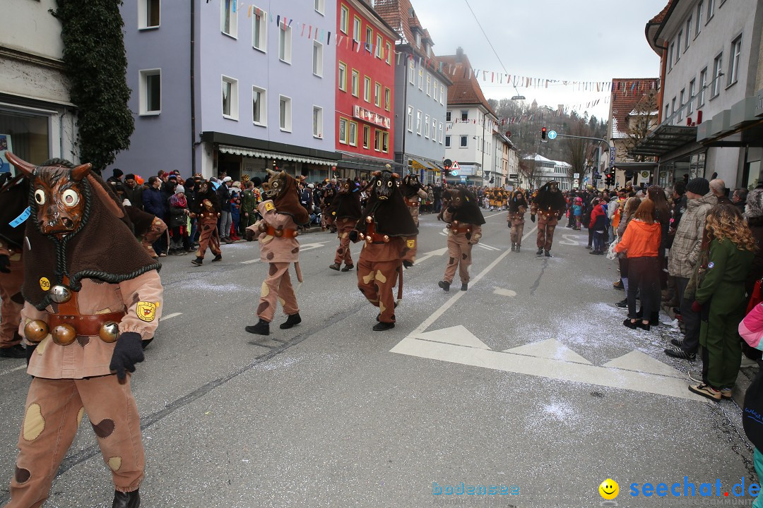 Tuttlinger Fasnetumzug: Tuttlingen am Bodensee, 10.02.2018