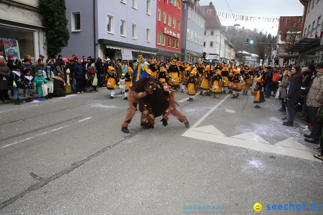 Tuttlinger Fasnetumzug: Tuttlingen am Bodensee, 10.02.2018