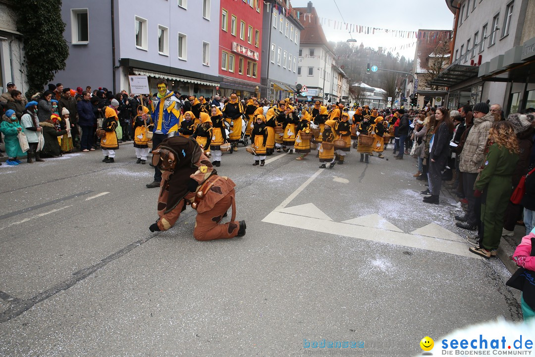 Tuttlinger Fasnetumzug: Tuttlingen am Bodensee, 10.02.2018