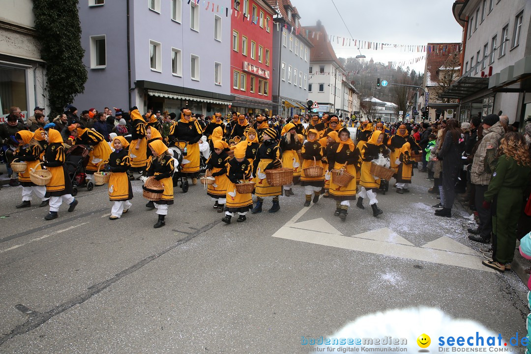 Tuttlinger Fasnetumzug: Tuttlingen am Bodensee, 10.02.2018