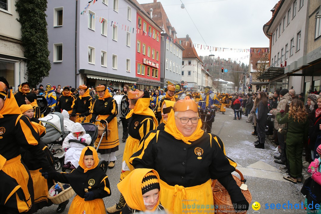 Tuttlinger Fasnetumzug: Tuttlingen am Bodensee, 10.02.2018