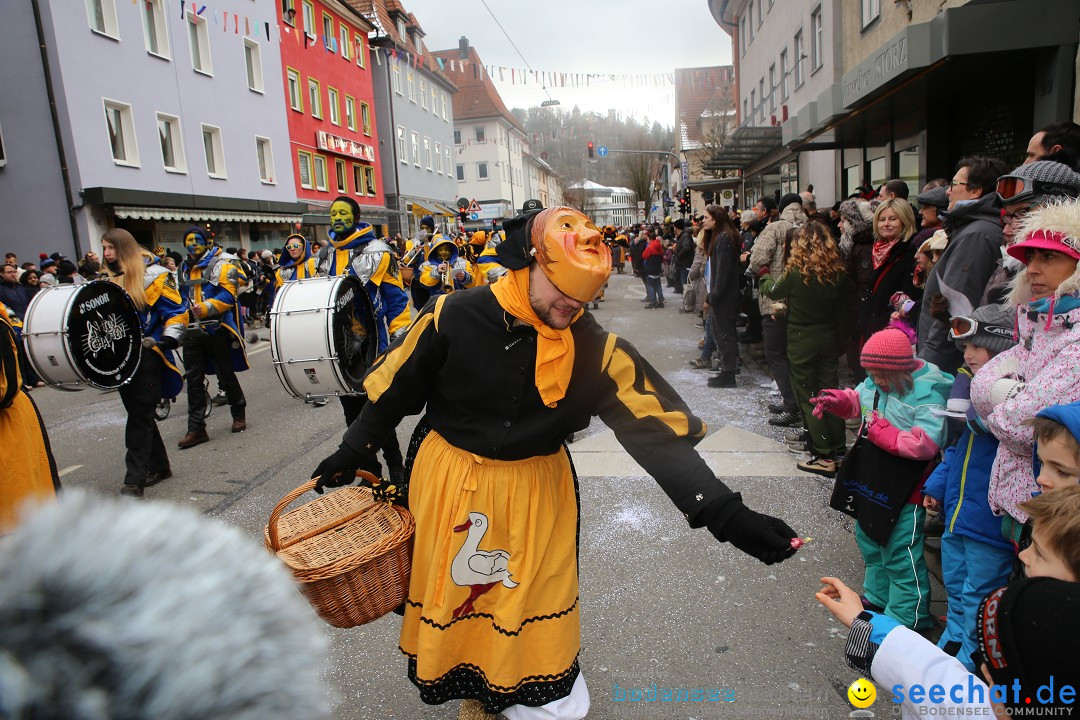 Tuttlinger Fasnetumzug: Tuttlingen am Bodensee, 10.02.2018