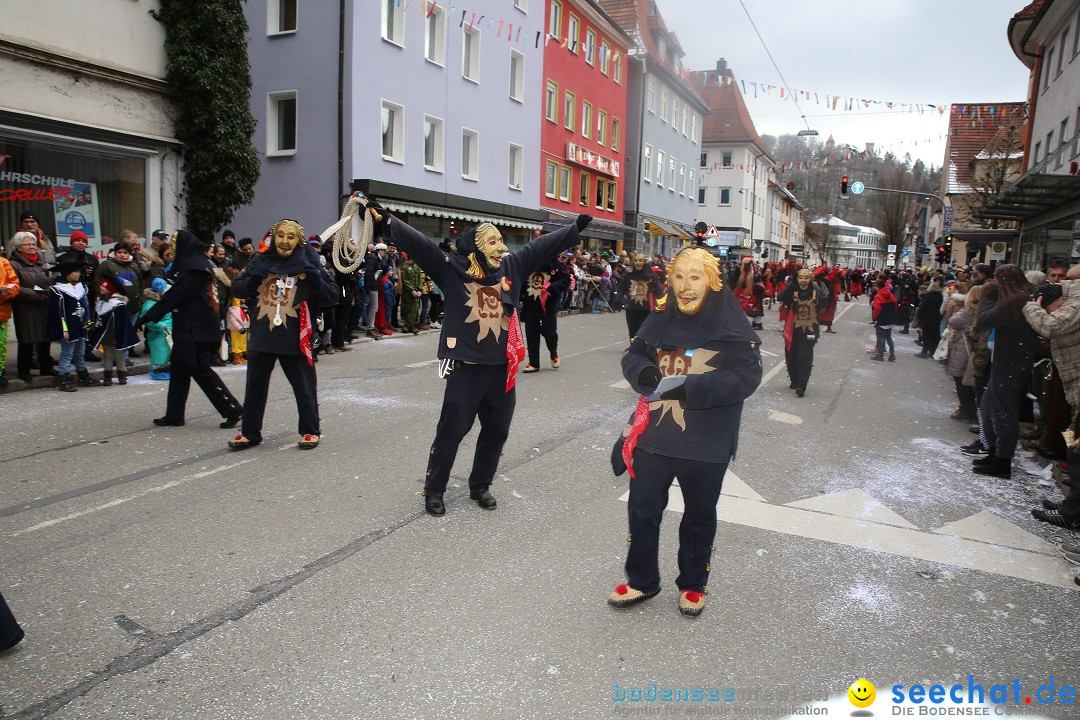 Tuttlinger Fasnetumzug: Tuttlingen am Bodensee, 10.02.2018