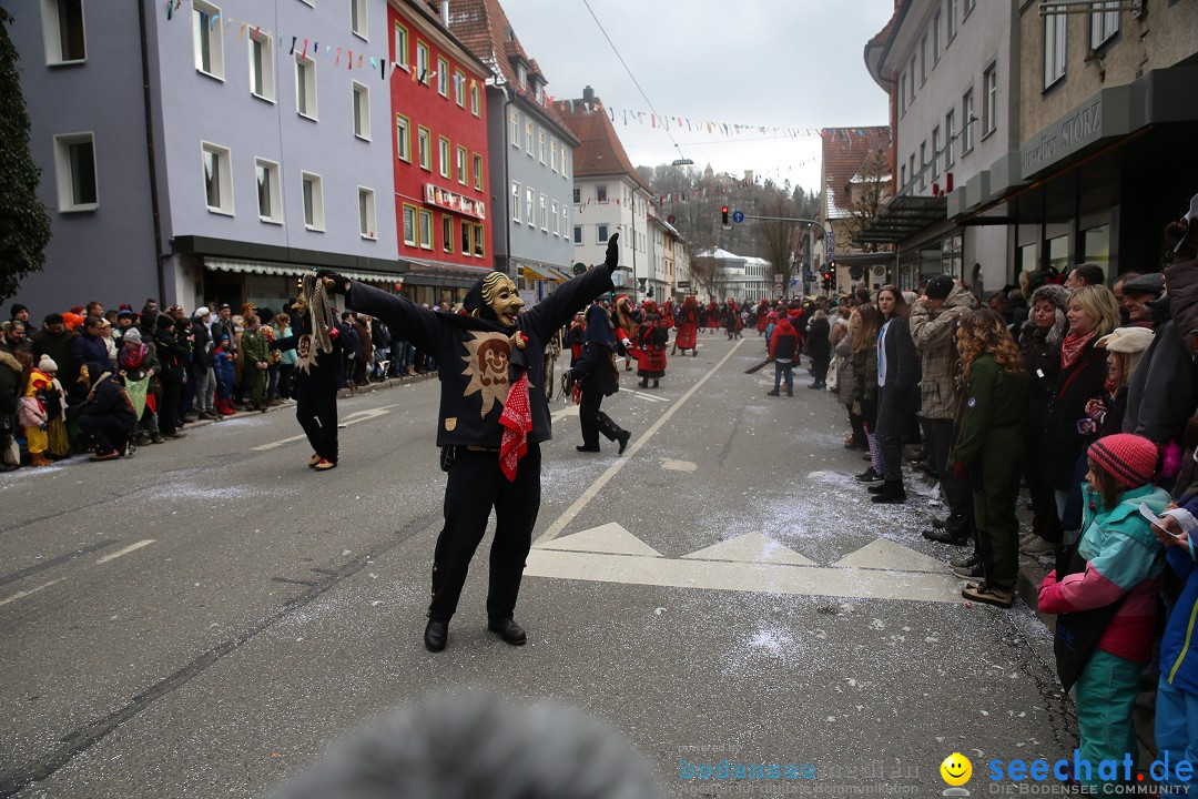 Tuttlinger Fasnetumzug: Tuttlingen am Bodensee, 10.02.2018