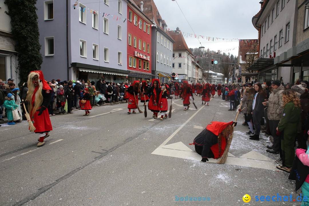 Tuttlinger Fasnetumzug: Tuttlingen am Bodensee, 10.02.2018