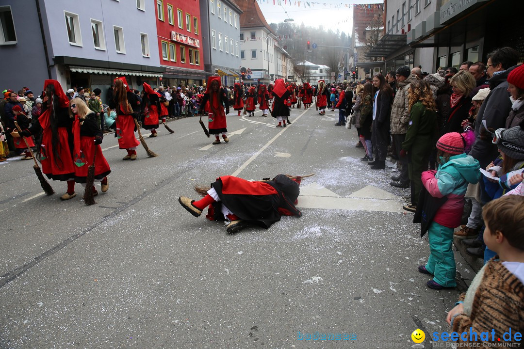 Tuttlinger Fasnetumzug: Tuttlingen am Bodensee, 10.02.2018