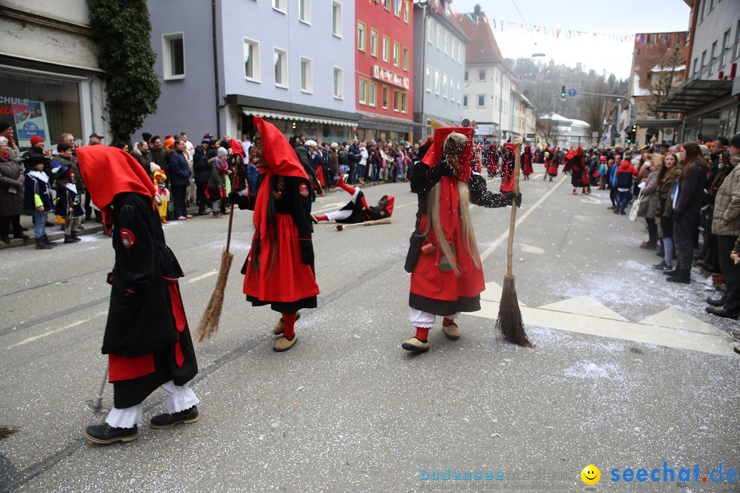 Tuttlinger Fasnetumzug: Tuttlingen am Bodensee, 10.02.2018