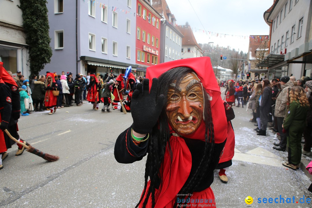 Tuttlinger Fasnetumzug: Tuttlingen am Bodensee, 10.02.2018