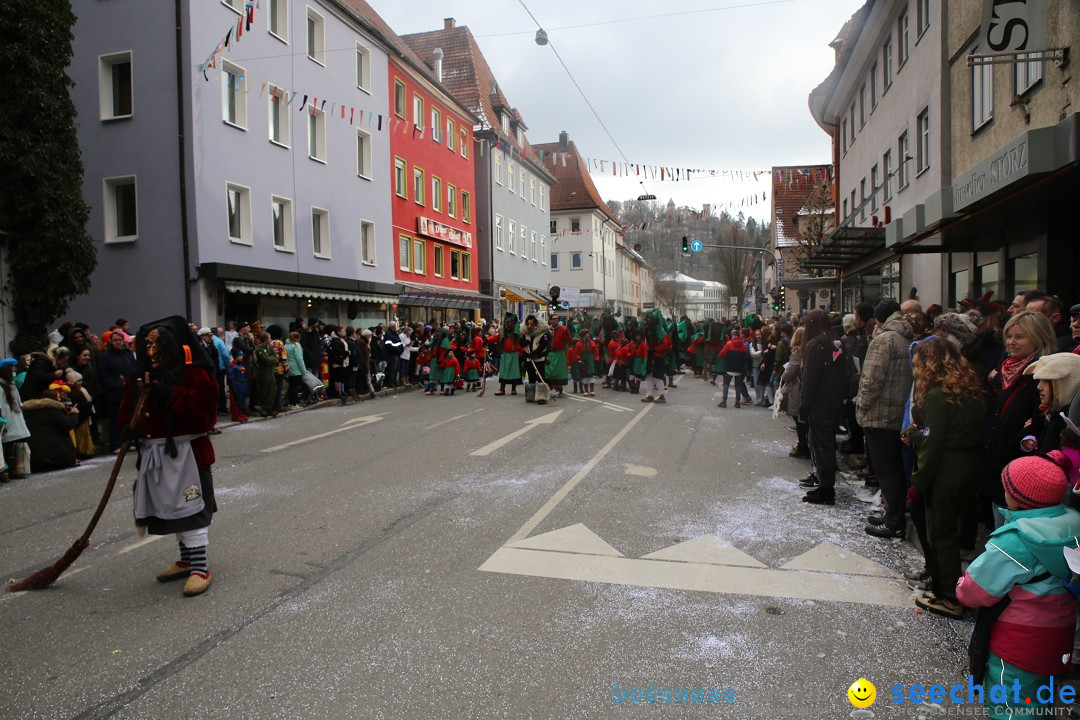 Tuttlinger Fasnetumzug: Tuttlingen am Bodensee, 10.02.2018