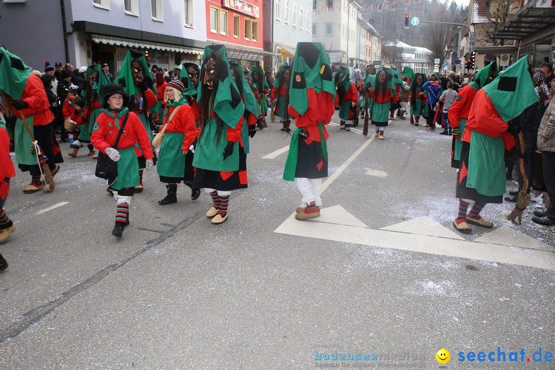 Tuttlinger Fasnetumzug: Tuttlingen am Bodensee, 10.02.2018