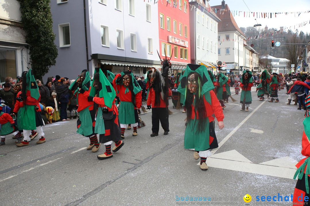 Tuttlinger Fasnetumzug: Tuttlingen am Bodensee, 10.02.2018