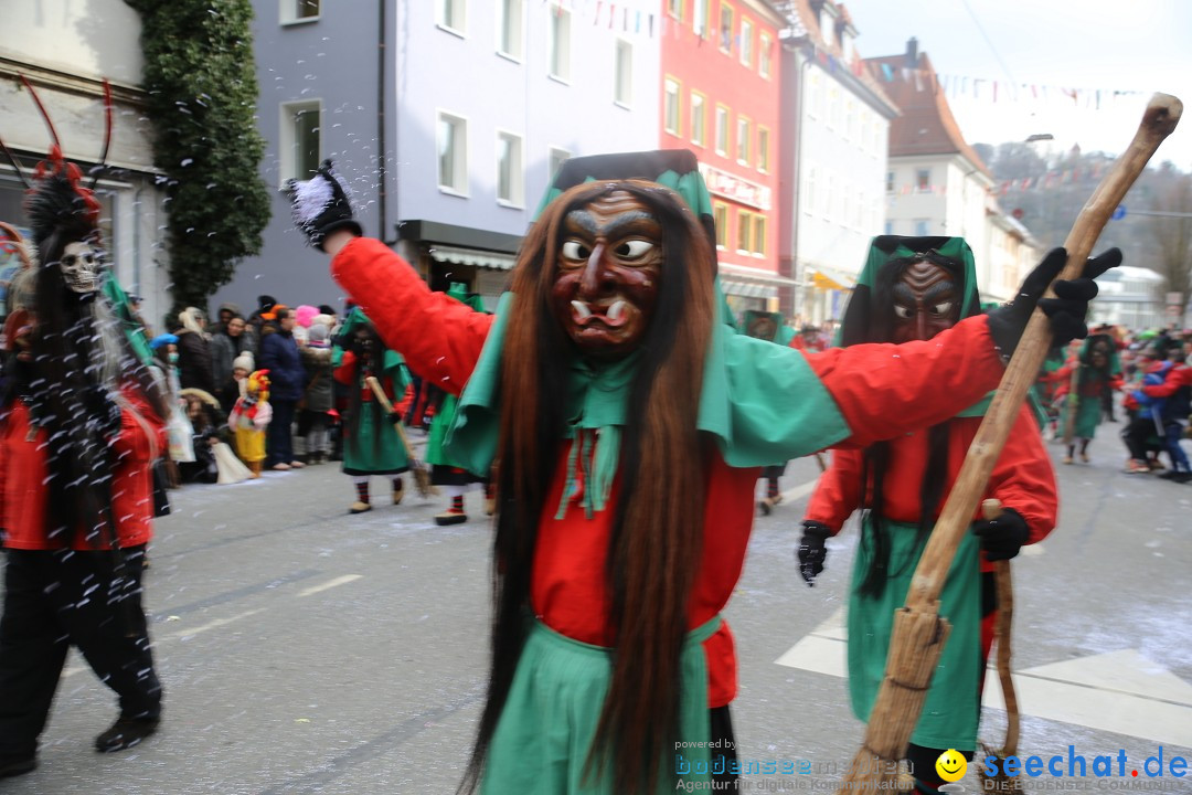 Tuttlinger Fasnetumzug: Tuttlingen am Bodensee, 10.02.2018