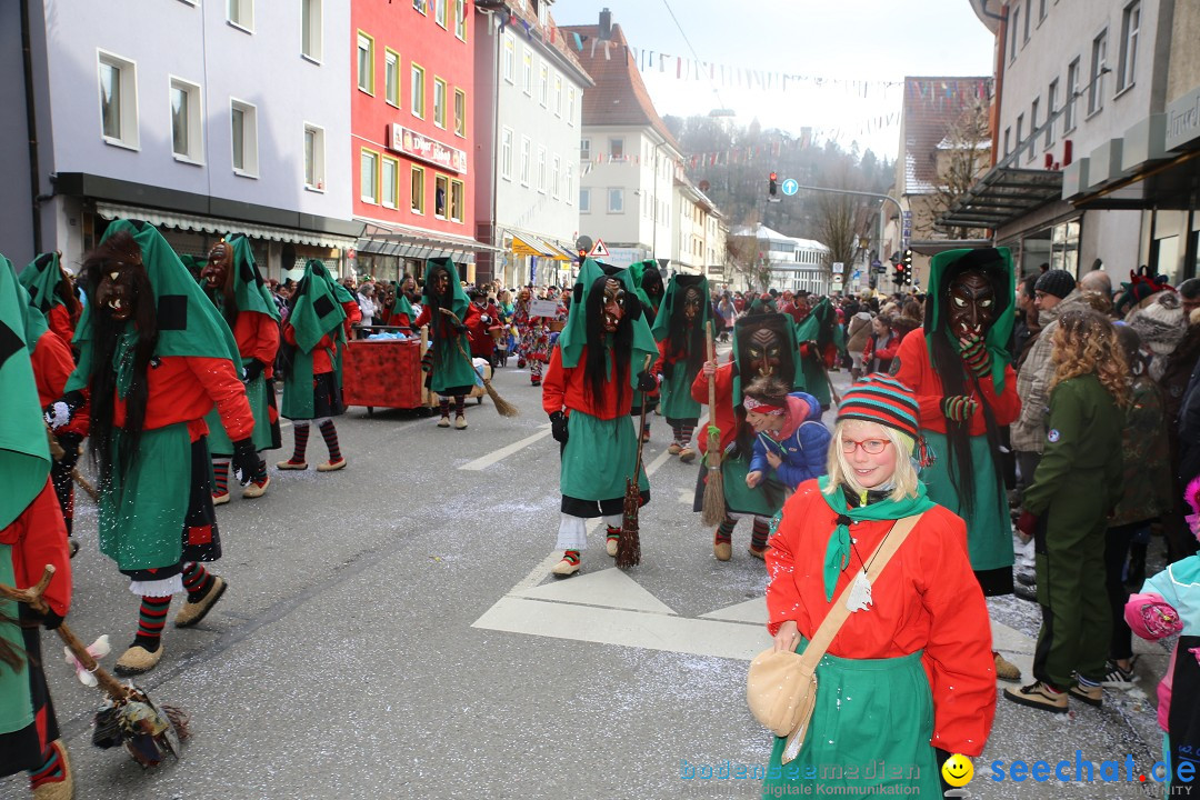 Tuttlinger Fasnetumzug: Tuttlingen am Bodensee, 10.02.2018