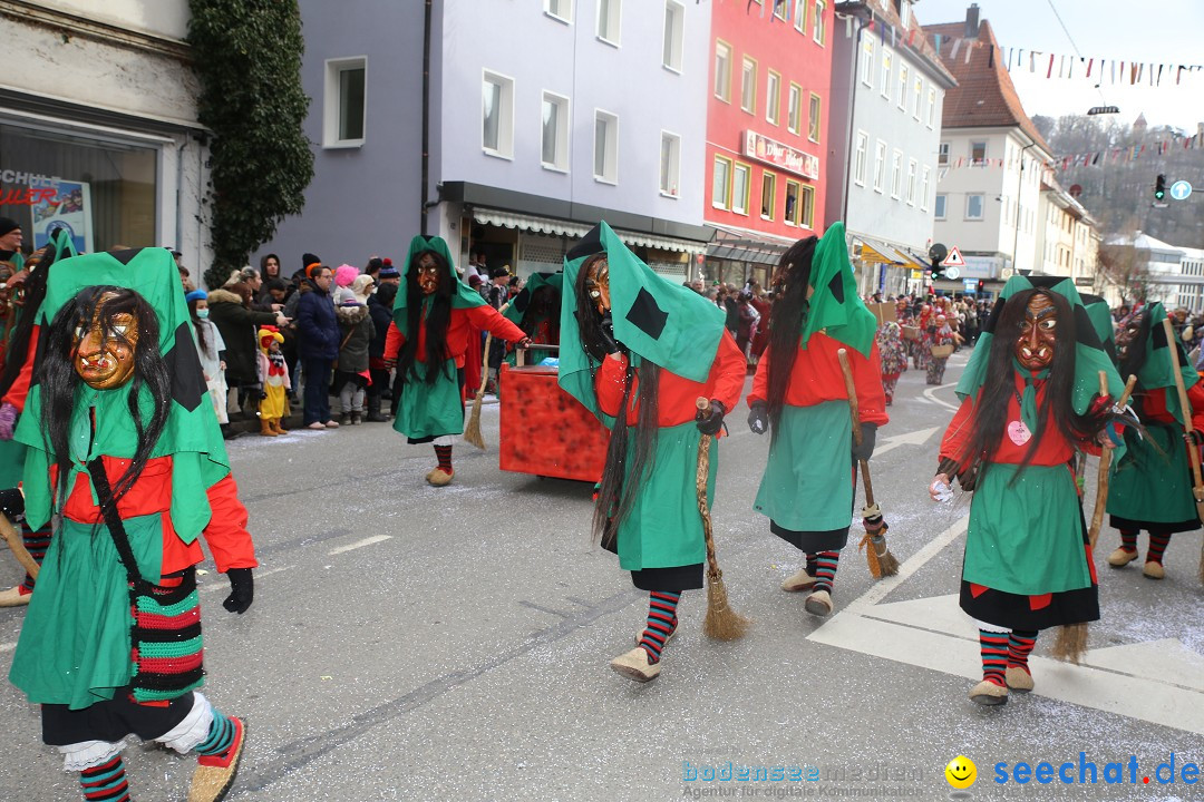 Tuttlinger Fasnetumzug: Tuttlingen am Bodensee, 10.02.2018