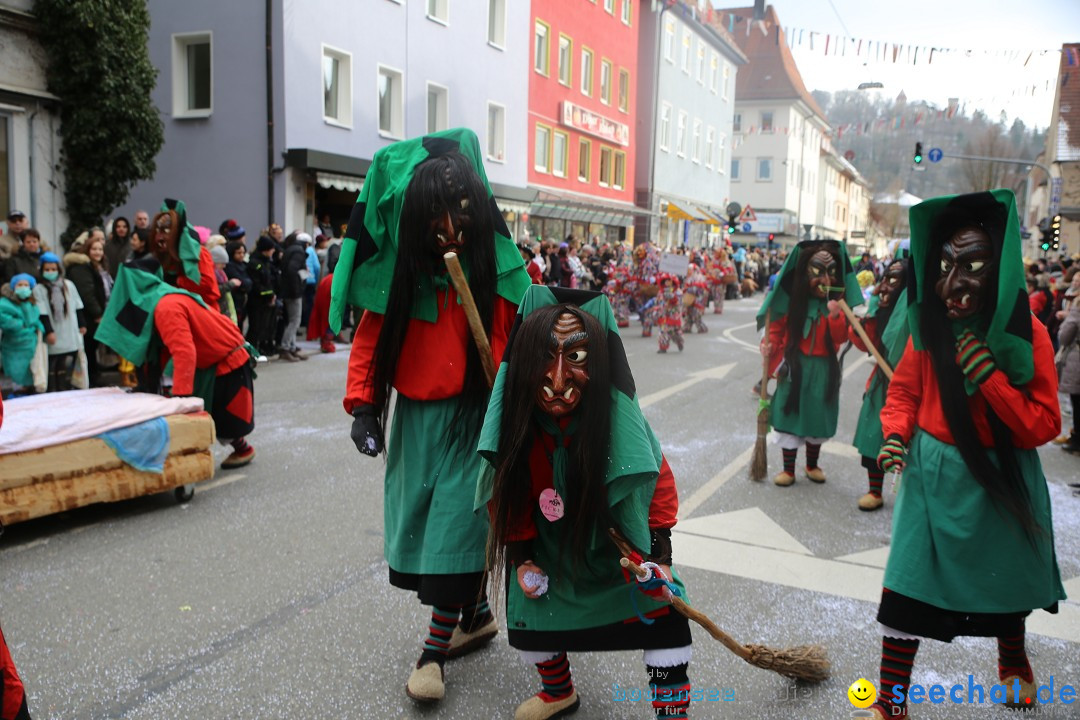 Tuttlinger Fasnetumzug: Tuttlingen am Bodensee, 10.02.2018