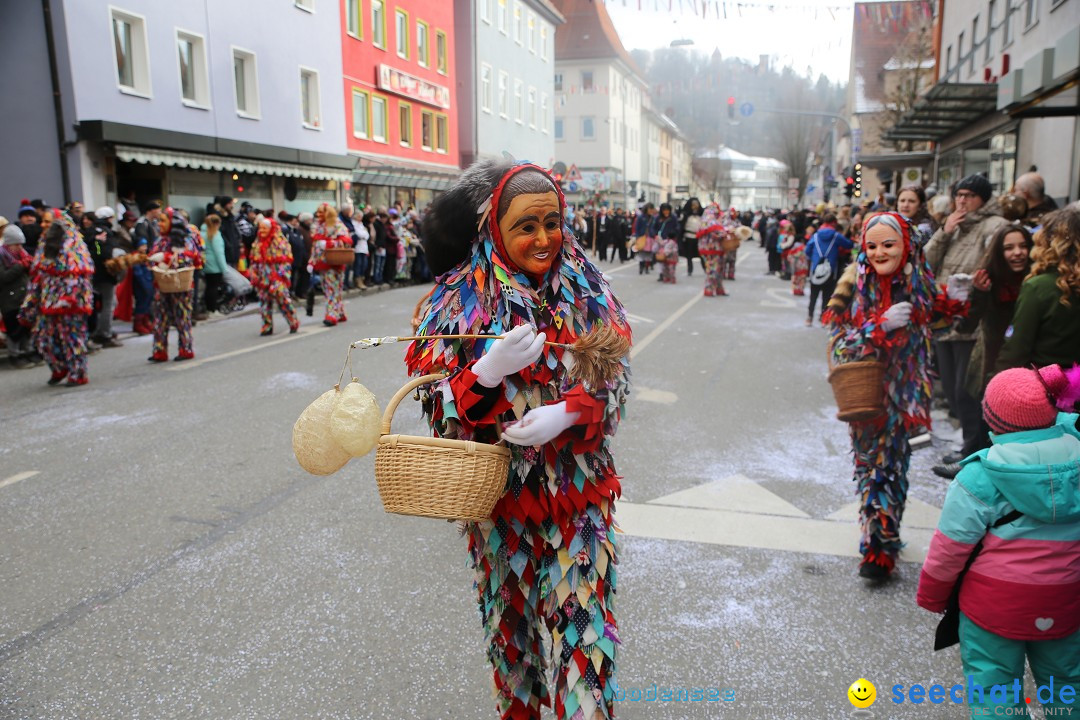 Tuttlinger Fasnetumzug: Tuttlingen am Bodensee, 10.02.2018