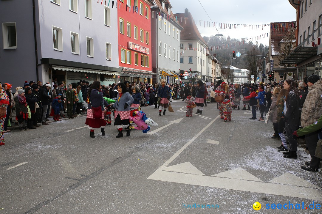 Tuttlinger Fasnetumzug: Tuttlingen am Bodensee, 10.02.2018