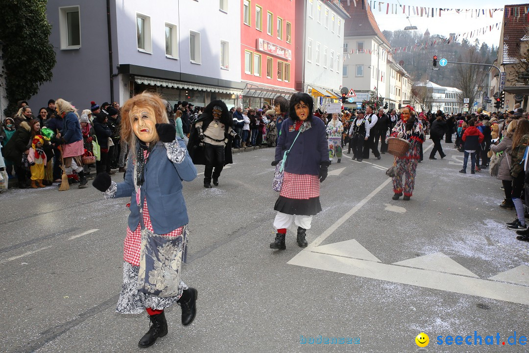 Tuttlinger Fasnetumzug: Tuttlingen am Bodensee, 10.02.2018