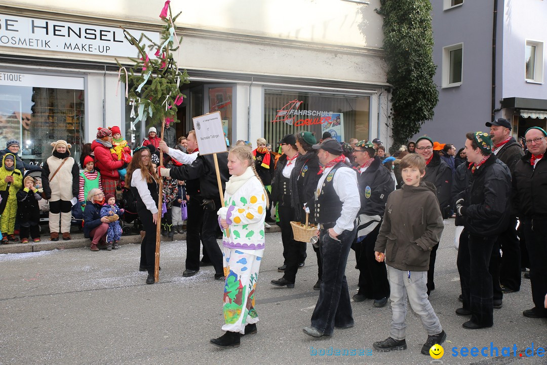 Tuttlinger Fasnetumzug: Tuttlingen am Bodensee, 10.02.2018