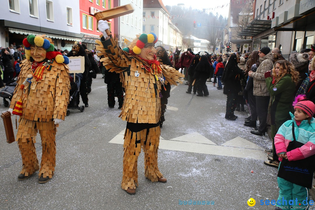 Tuttlinger Fasnetumzug: Tuttlingen am Bodensee, 10.02.2018