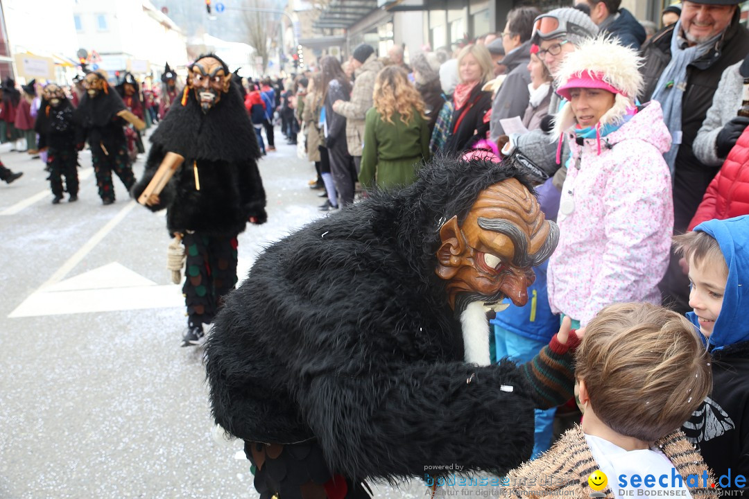 Tuttlinger Fasnetumzug: Tuttlingen am Bodensee, 10.02.2018