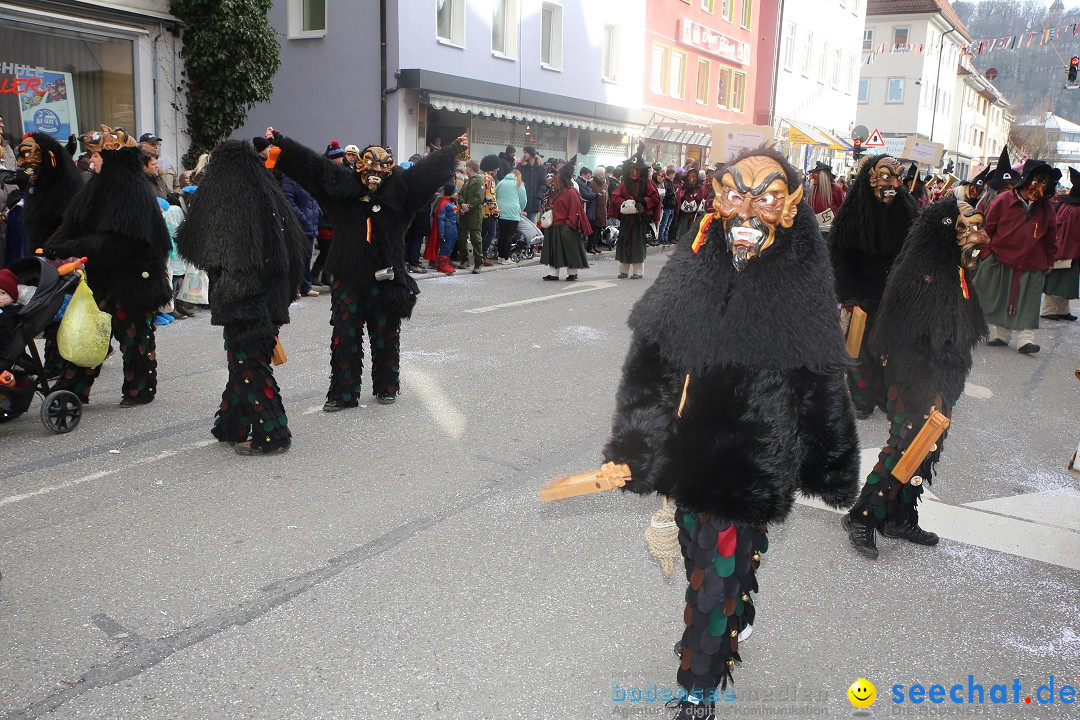 Tuttlinger Fasnetumzug: Tuttlingen am Bodensee, 10.02.2018