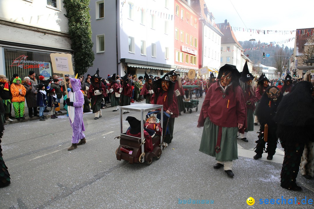 Tuttlinger Fasnetumzug: Tuttlingen am Bodensee, 10.02.2018