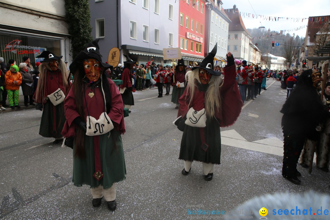 Tuttlinger Fasnetumzug: Tuttlingen am Bodensee, 10.02.2018