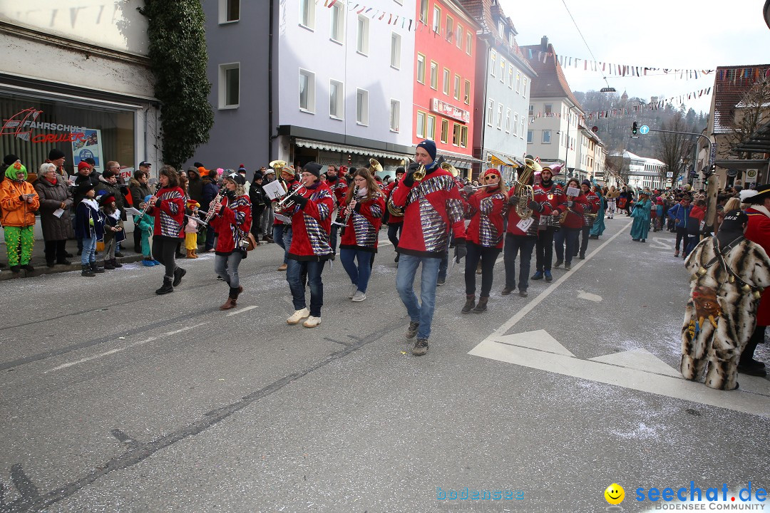 Tuttlinger Fasnetumzug: Tuttlingen am Bodensee, 10.02.2018