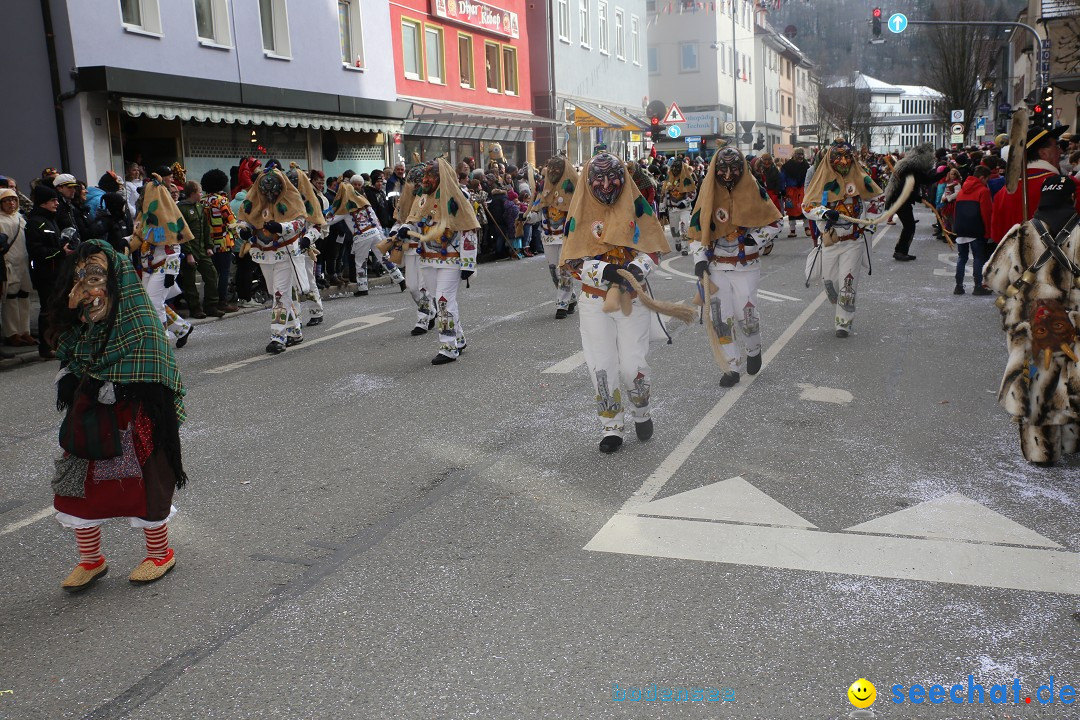 Tuttlinger Fasnetumzug: Tuttlingen am Bodensee, 10.02.2018