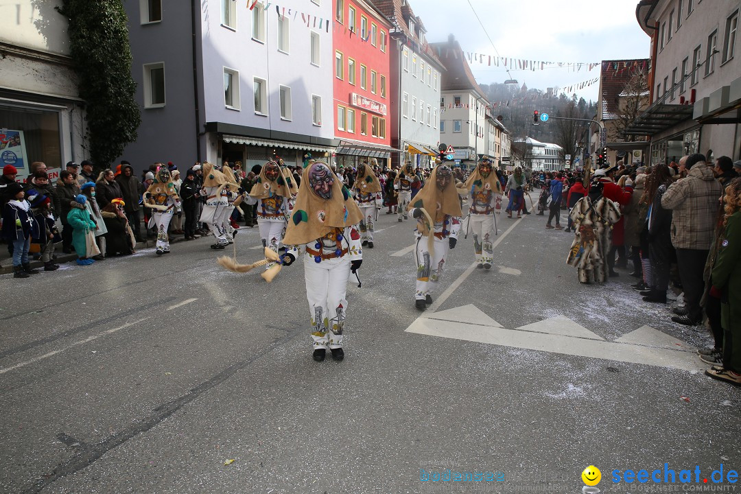 Tuttlinger Fasnetumzug: Tuttlingen am Bodensee, 10.02.2018