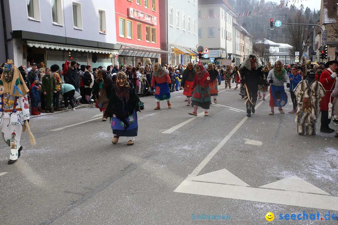 Tuttlinger Fasnetumzug: Tuttlingen am Bodensee, 10.02.2018