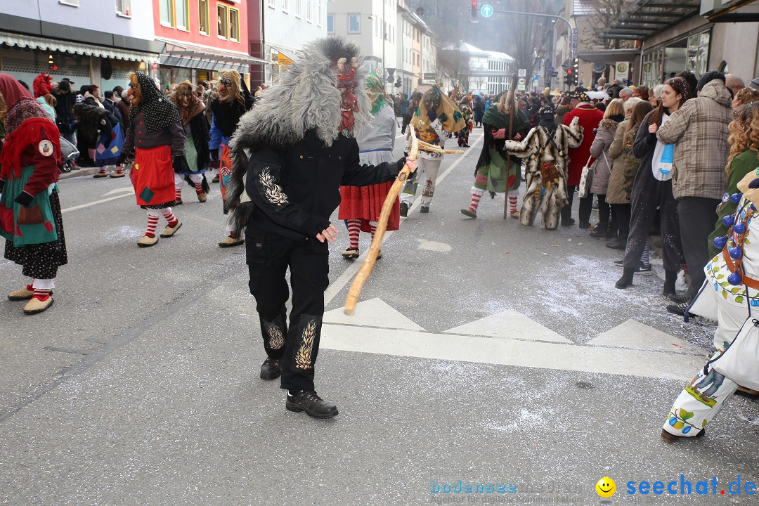 Tuttlinger Fasnetumzug: Tuttlingen am Bodensee, 10.02.2018