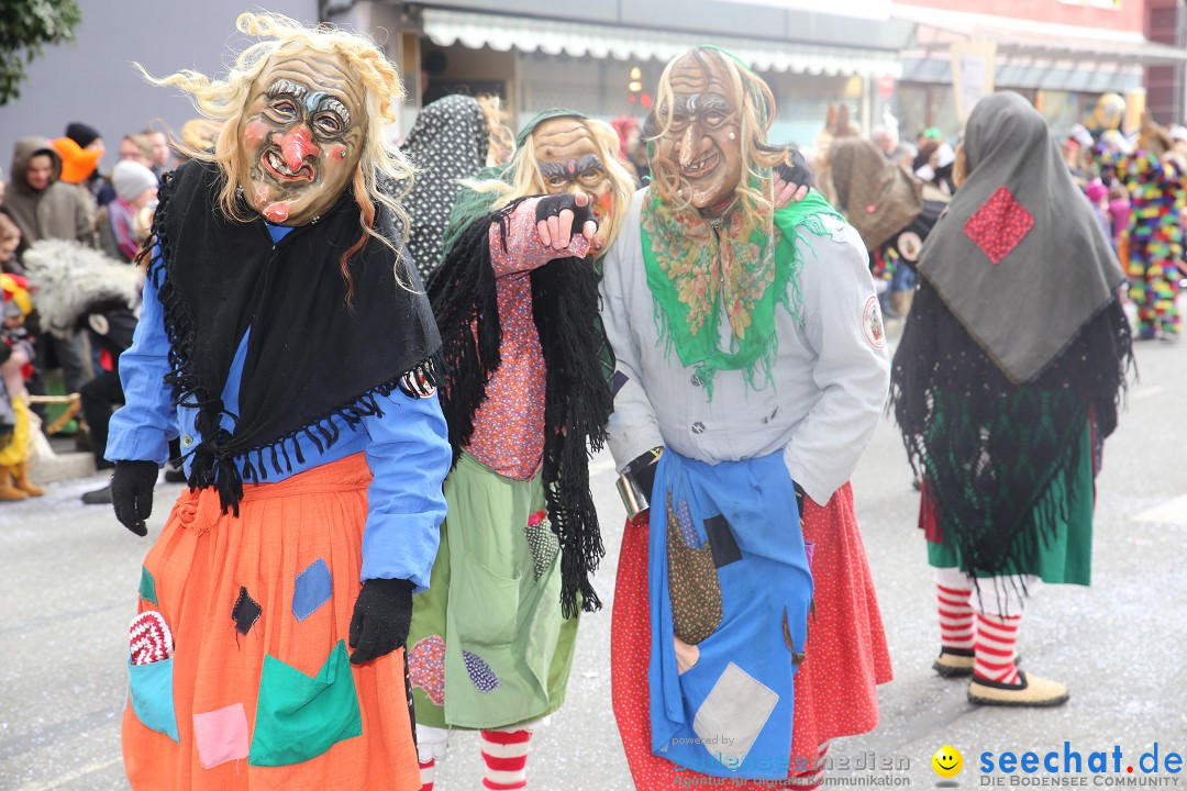 Tuttlinger Fasnetumzug: Tuttlingen am Bodensee, 10.02.2018