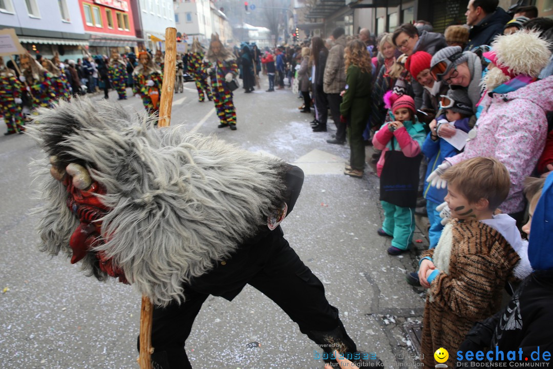 Tuttlinger Fasnetumzug: Tuttlingen am Bodensee, 10.02.2018