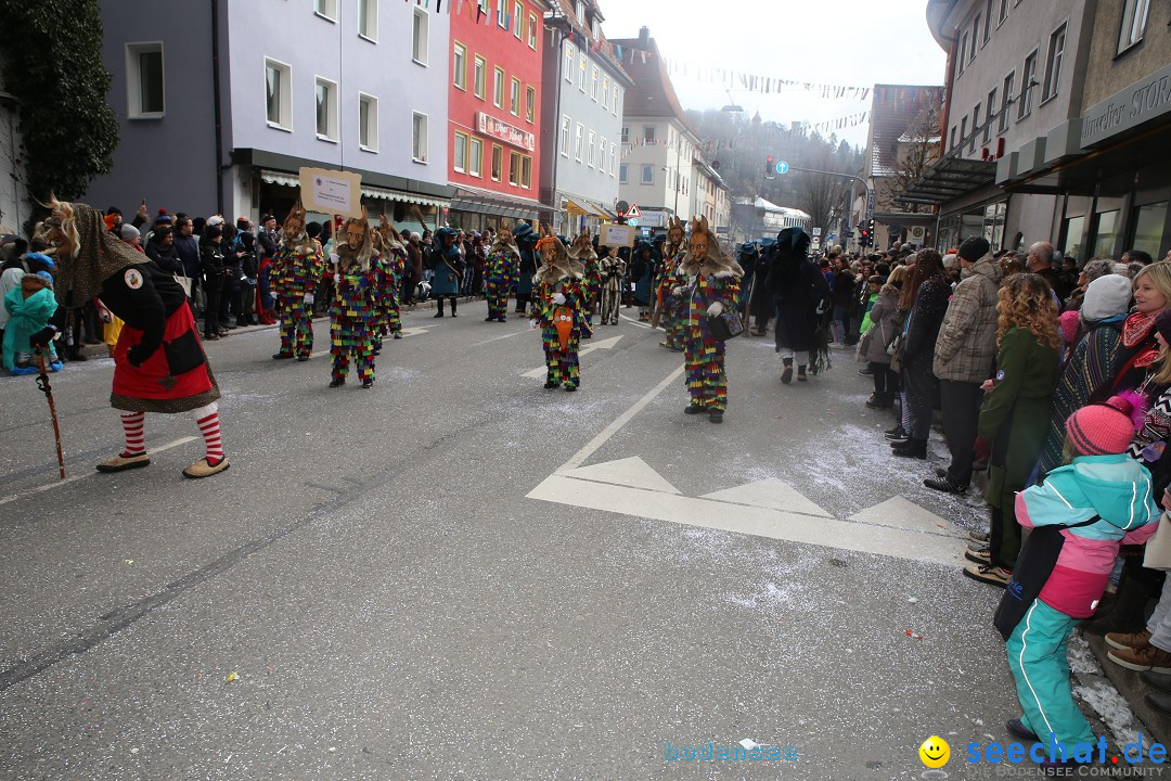 Tuttlinger Fasnetumzug: Tuttlingen am Bodensee, 10.02.2018