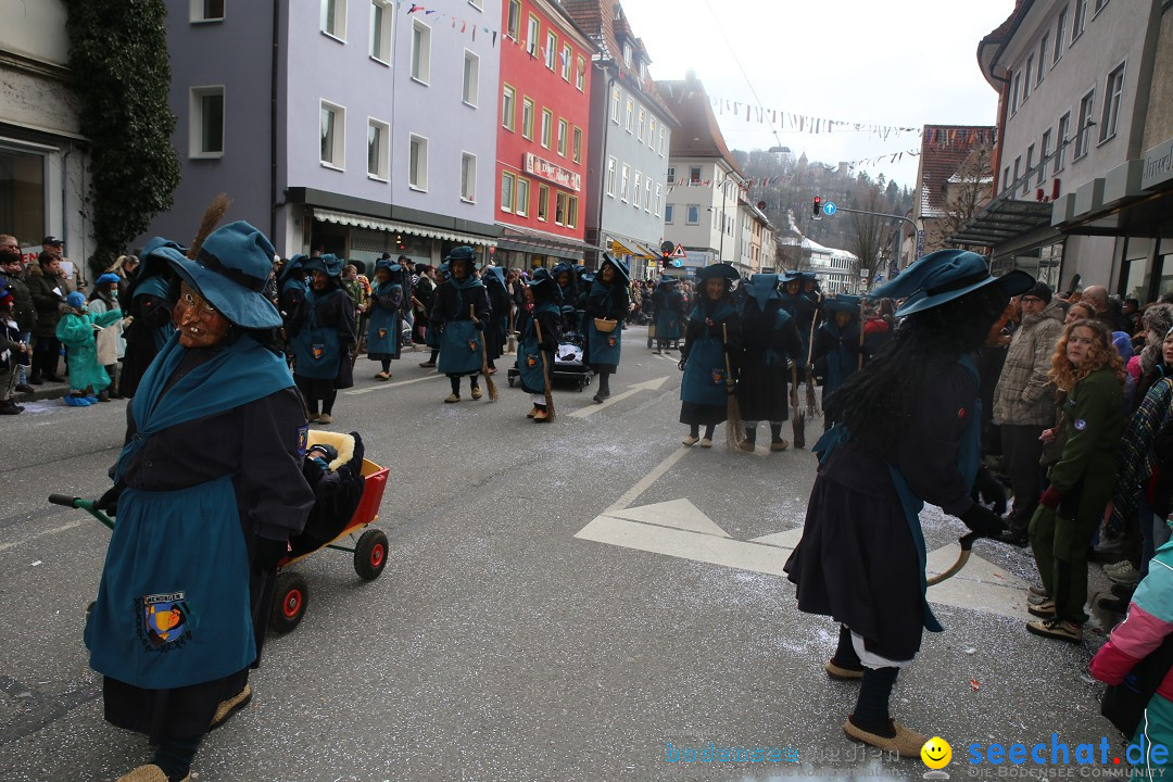 Tuttlinger Fasnetumzug: Tuttlingen am Bodensee, 10.02.2018