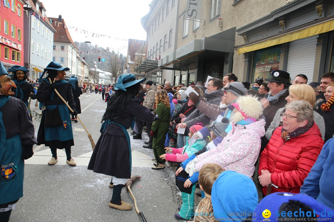 Tuttlinger Fasnetumzug: Tuttlingen am Bodensee, 10.02.2018