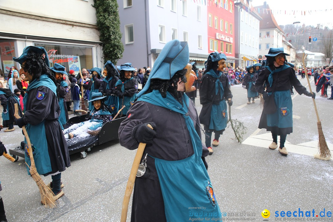 Tuttlinger Fasnetumzug: Tuttlingen am Bodensee, 10.02.2018