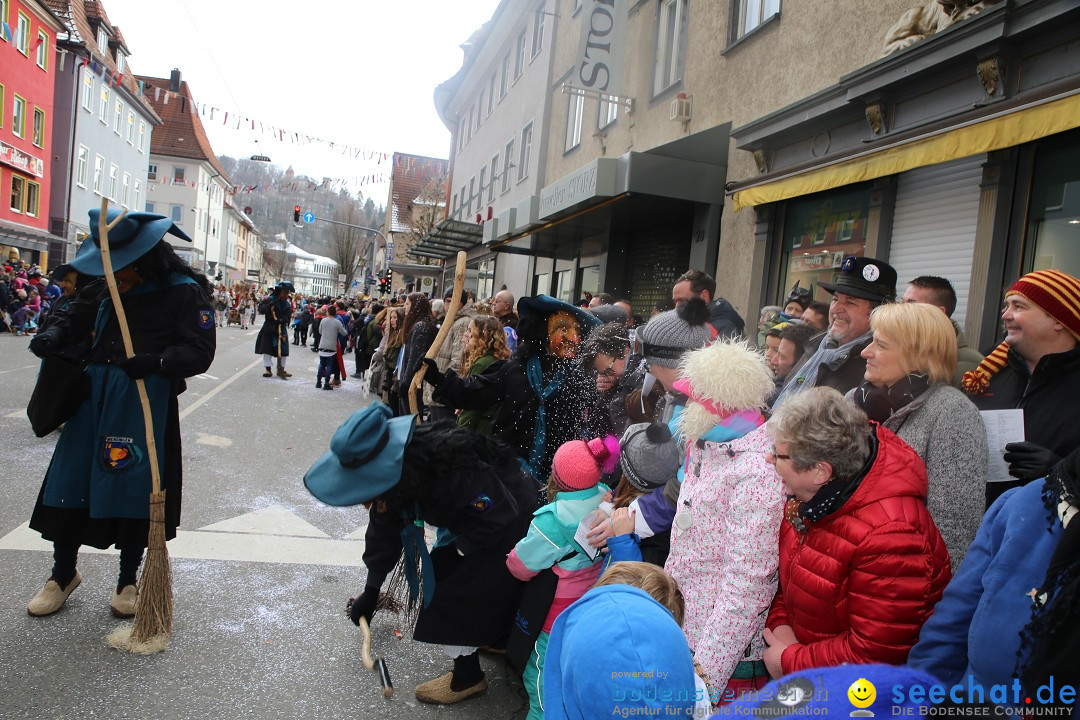 Tuttlinger Fasnetumzug: Tuttlingen am Bodensee, 10.02.2018