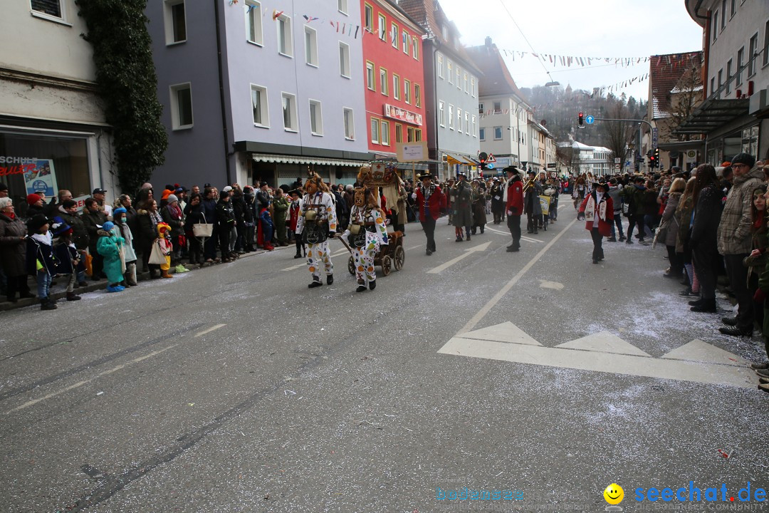 Tuttlinger Fasnetumzug: Tuttlingen am Bodensee, 10.02.2018