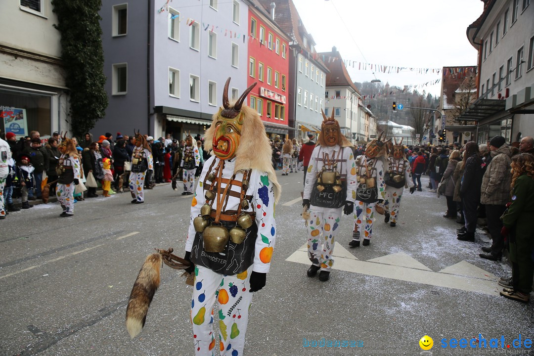 Tuttlinger Fasnetumzug: Tuttlingen am Bodensee, 10.02.2018