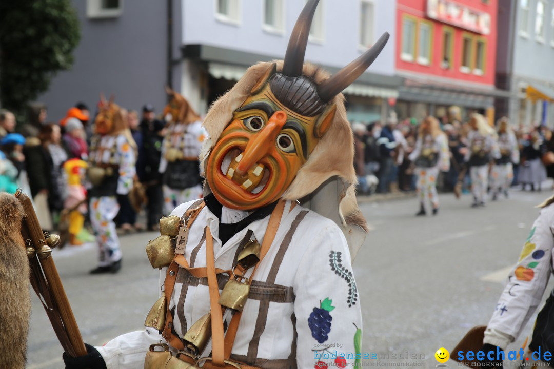 Tuttlinger Fasnetumzug: Tuttlingen am Bodensee, 10.02.2018